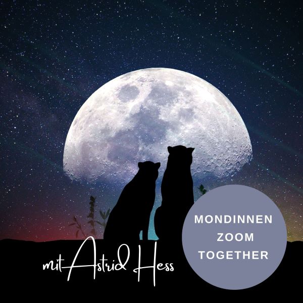 mondinne zoom